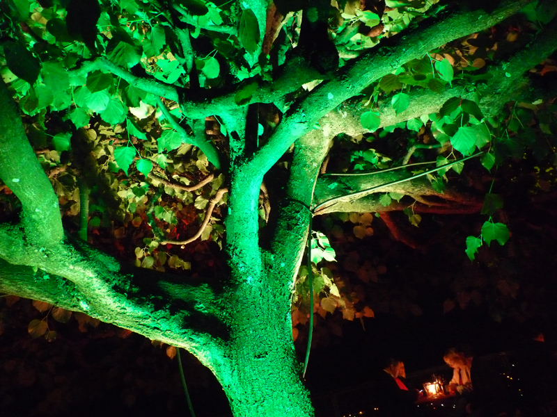 Grüner Baum